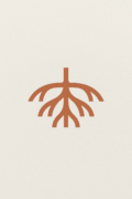 Rooted & Rising